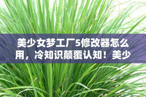 美少女梦工厂5修改器怎么用,冷知识颠覆认知!美少女梦工厂5修改器竟藏着十年目瞪口呆真相 美少女梦工厂5修改器怎么用,冷知识颠覆认知!美少女梦工厂5修改器竟藏着十年目瞪口呆真相