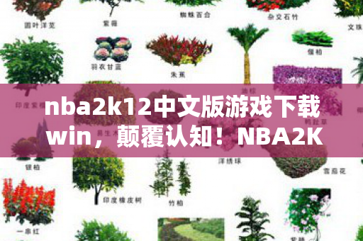 nba2k12中文版游戏下载 win,颠覆认知!NBA2K12中文版下载背后藏着目瞪口呆的冷知识 nba2k12中文版游戏下载 win,颠覆认知!NBA2K12中文版下载背后藏着目瞪口呆的冷知识