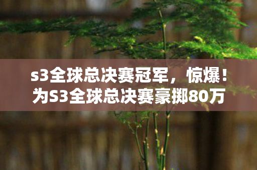 s3全球总决赛冠军，惊爆！为S3全球总决赛豪掷80万，背后隐情竟让老婆签下离婚协议！