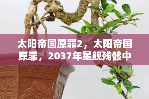 太阳帝国原罪2，太阳帝国原罪，2037年星舰残骸中的血色密码，谁在深渊低语？