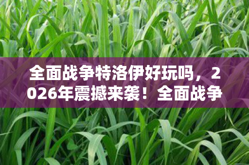 全面战争特洛伊好玩吗,2026年震撼来袭!全面战争,特洛伊暗藏惊天反转,结局谁料? 全面战争特洛伊好玩吗,2026年震撼来袭!全面战争,特洛伊暗藏惊天反转,结局谁料?