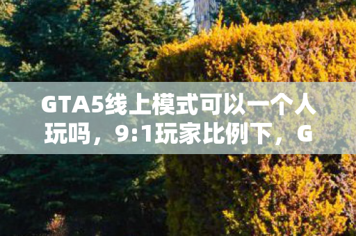 GTA5线上模式可以一个人玩吗，9:1玩家比例下，GTA5线上模式，狂欢背后藏着多少扎心的真相？