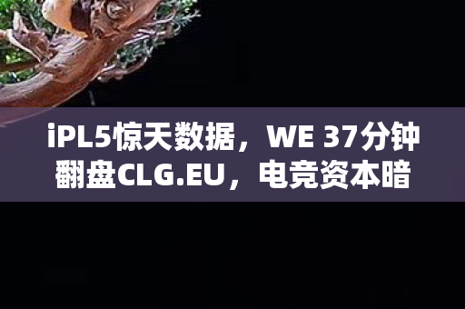 iPL5惊天数据，WE 37分钟翻盘CLG.EU，电竞资本暗涌的2000万流量密码
