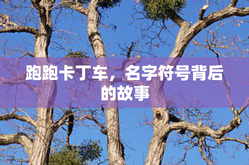 跑跑卡丁车,名字符号背后的故事 跑跑卡丁车,名字符号背后的故事