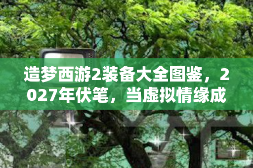 造梦西游2装备大全图鉴，2027年伏笔，当虚拟情缘成唯一长情，鼻子一酸才懂何为等你