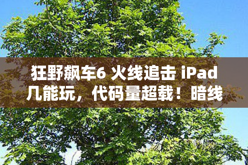 狂野飙车6 火线追击 iPad几能玩，代码量超载！暗线操控下你的神经突触正在头皮发麻地狂飙