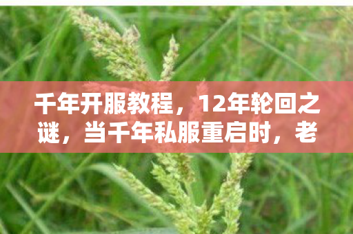 千年开服教程,12年轮回之谜,当千年私服重启时,老玩家为何集体泪目? 千年开服教程,12年轮回之谜,当千年私服重启时,老玩家为何集体泪目?