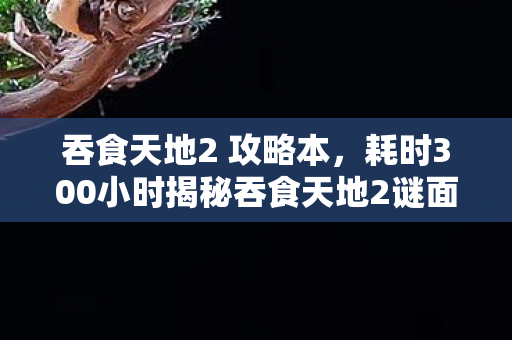 吞食天地2 攻略本,耗时300小时揭秘吞食天地2谜面,老玩家泪目,青春已成绝响 吞食天地2 攻略本,耗时300小时揭秘吞食天地2谜面,老玩家泪目,青春已成绝响