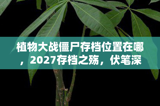 植物大战僵尸存档位置在哪，2027存档之殇，伏笔深埋的聊天记录，读到末句鼻子一酸