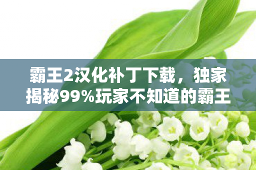 霸王2汉化补丁下载,独家揭秘99%玩家不知道的霸王2汉化补丁,3大体验升级心得! 霸王2汉化补丁下载,独家揭秘99%玩家不知道的霸王2汉化补丁,3大体验升级心得!