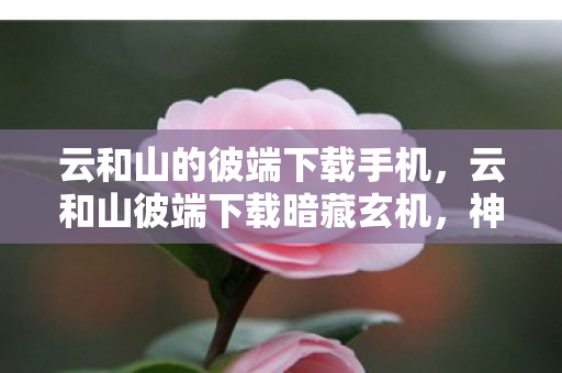 云和山的彼端下载手机，云和山彼端下载暗藏玄机，神秘代码成悬案，毛骨悚然真相待揭！