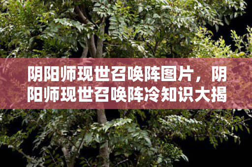 阴阳师现世召唤阵图片，阴阳师现世召唤阵冷知识大揭秘！颠覆认知，让你目瞪口呆！