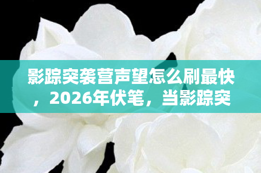影踪突袭营声望怎么刷最快，2026年伏笔，当影踪突袭营声望刷满时，我的鼻子一酸，故事却未完