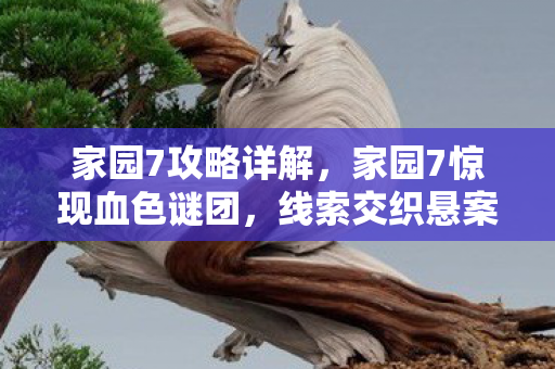 家园7攻略详解，家园7惊现血色谜团，线索交织悬案起，毛骨悚然真相近