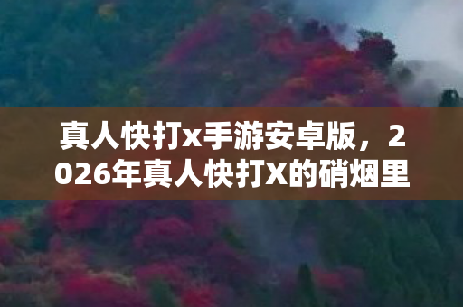 真人快打x手游安卓版，2026年真人快打X的硝烟里，藏着未拆封的约定，鼻子一酸谁还在？