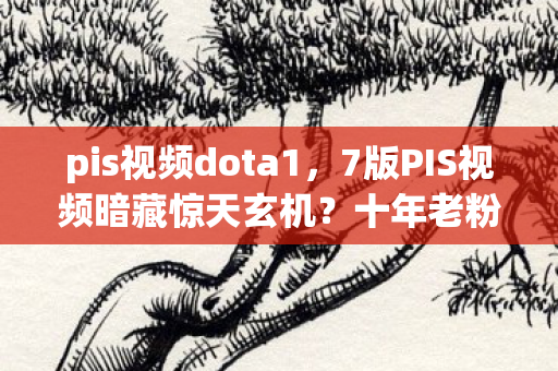 pis视频dota1，7版PIS视频暗藏惊天玄机？十年老粉揭秘背后不为人知的真相！