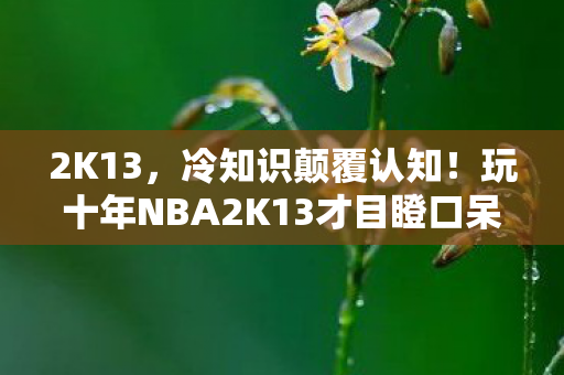 2K13,冷知识颠覆认知!玩十年NBA2K13才目瞪口呆,我竟从未真正启动过? 2K13,冷知识颠覆认知!玩十年NBA2K13才目瞪口呆,我竟从未真正启动过?