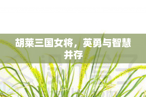 胡莱三国女将,英勇与智慧并存 胡莱三国女将,英勇与智慧并存