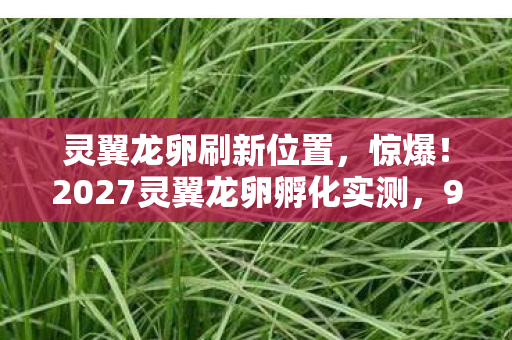 灵翼龙卵刷新位置,惊爆!2027灵翼龙卵孵化实测,99%玩家错过的3大隐藏机制 灵翼龙卵刷新位置,惊爆!2027灵翼龙卵孵化实测,99%玩家错过的3大隐藏机制