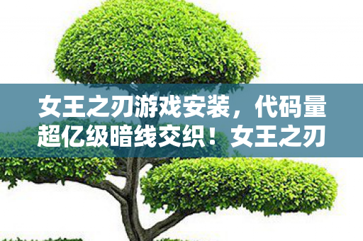 女王之刃游戏安装,代码量超亿级暗线交织!女王之刃,一场让玩家头皮发麻的数字叛乱 女王之刃游戏安装,代码量超亿级暗线交织!女王之刃,一场让玩家头皮发麻的数字叛乱