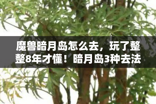 魔兽暗月岛怎么去,玩了整整8年才懂!暗月岛3种去法选哪个?老玩家纠结到失眠! 魔兽暗月岛怎么去,玩了整整8年才懂!暗月岛3种去法选哪个?老玩家纠结到失眠!