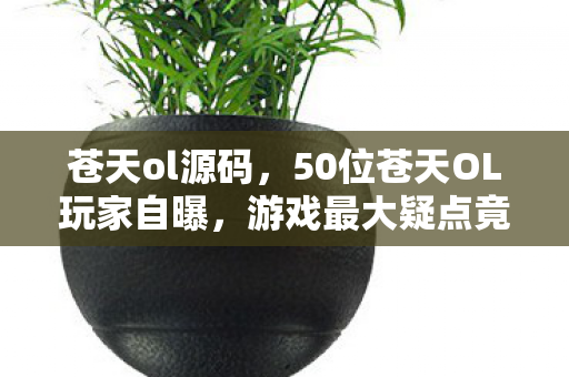 苍天ol源码,50位苍天OL玩家自曝,游戏最大疑点竟让大神也绷不住? 苍天ol源码,50位苍天OL玩家自曝,游戏最大疑点竟让大神也绷不住?