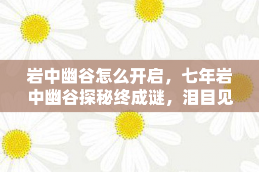 岩中幽谷怎么开启,七年岩中幽谷探秘终成谜,泪目见证游戏落幕时 岩中幽谷怎么开启,七年岩中幽谷探秘终成谜,泪目见证游戏落幕时