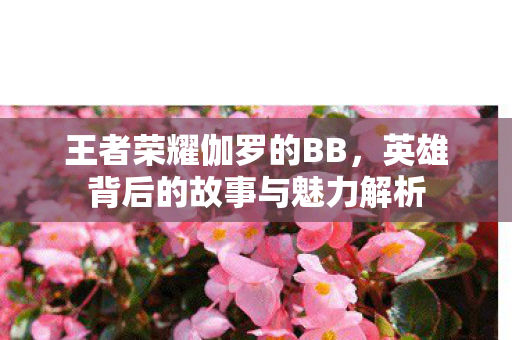 王者荣耀伽罗的BB,英雄背后的故事与魅力解析 王者荣耀伽罗的BB,英雄背后的故事与魅力解析