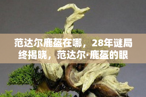 范达尔鹿盔在哪，28年谜局终揭晓，范达尔·鹿盔的眼泪为何让百万玩家泪目？