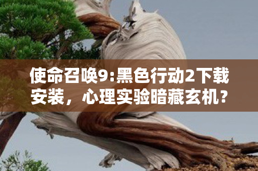 使命召唤9:黑色行动2下载安装,心理实验暗藏玄机?使命召唤9沉迷陷阱细思极恐 使命召唤9:黑色行动2下载安装,心理实验暗藏玄机?使命召唤9沉迷陷阱细思极恐