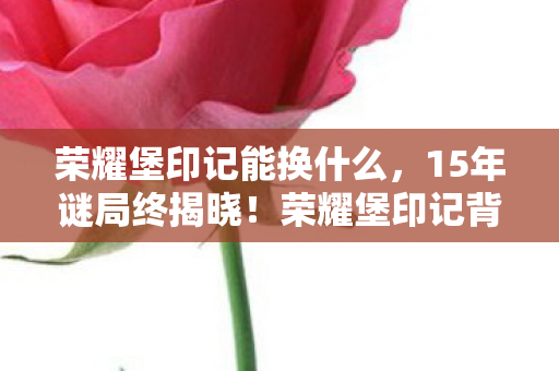 荣耀堡印记能换什么，15年谜局终揭晓！荣耀堡印记背后竟藏着让全网泪目的真相
