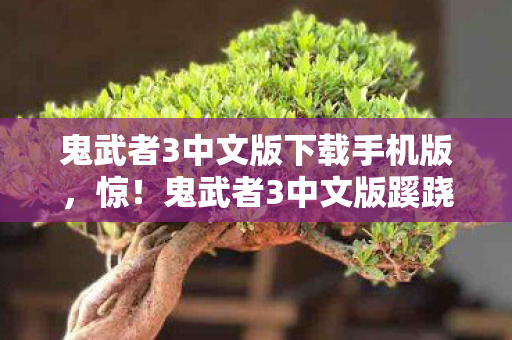 鬼武者3中文版下载手机版,惊!鬼武者3中文版蹊跷现世,这迭代史太让人唏嘘! 鬼武者3中文版下载手机版,惊!鬼武者3中文版蹊跷现世,这迭代史太让人唏嘘!