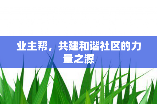 业主帮,共建和谐社区的力量之源 业主帮,共建和谐社区的力量之源