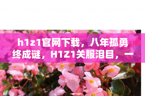 h1z1官网下载,八年孤勇终成谜,H1Z1关服泪目,一场无声的告别 h1z1官网下载,八年孤勇终成谜,H1Z1关服泪目,一场无声的告别