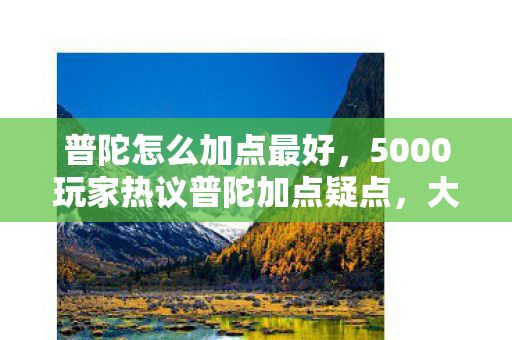 普陀怎么加点最好，5000玩家热议普陀加点疑点，大神绷不住，这也能错？