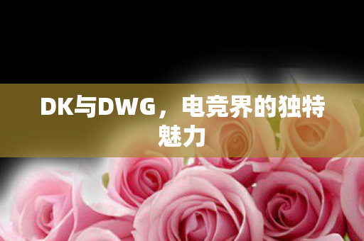 DK与DWG,电竞界的独特魅力 DK与DWG,电竞界的独特魅力