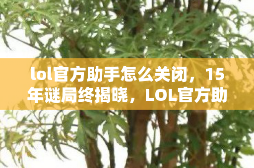 lol官方助手怎么关闭，15年谜局终揭晓，LOL官方助手如何用代码编织千万玩家的泪目青春？
