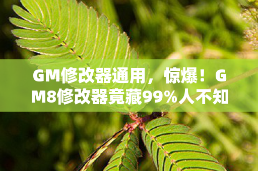 GM修改器通用，惊爆！GM8修改器竟藏99%人不知的逆天功能，你还在傻傻错过？