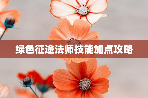 绿色征途法师技能加点攻略 绿色征途法师技能加点攻略