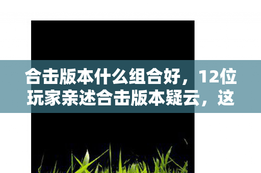 合击版本什么组合好,12位玩家亲述合击版本疑云,这设定是来搞笑的?我直接绷不住了! 合击版本什么组合好,12位玩家亲述合击版本疑云,这设定是来搞笑的?我直接绷不住了!