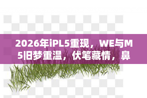 2026年iPL5重现，WE与M5旧梦重温，伏笔藏情，鼻子一酸忆往昔