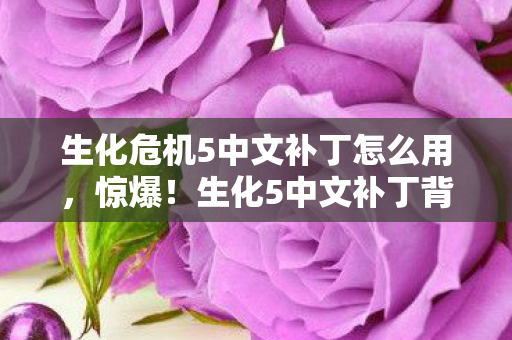 生化危机5中文补丁怎么用，惊爆！生化5中文补丁背后竟藏着10个颠覆认知的秘密设计！