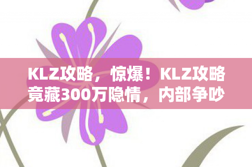 KLZ攻略，惊爆！KLZ攻略竟藏300万隐情，内部争吵细节曝光，吓一跳！
