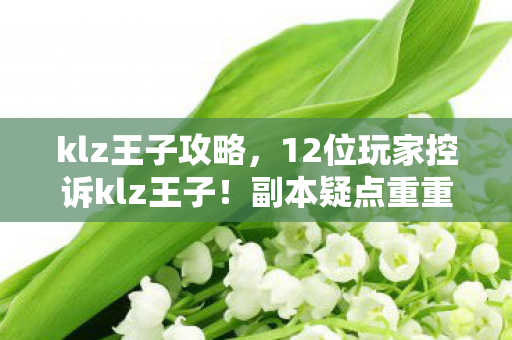 klz王子攻略，12位玩家控诉klz王子！副本疑点重重，这波操作谁能绷得住？