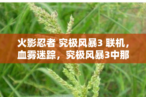 火影忍者 究极风暴3 联机,血雾迷踪,究极风暴3中那桩自我湮灭的毛骨悚然悬案 火影忍者 究极风暴3 联机,血雾迷踪,究极风暴3中那桩自我湮灭的毛骨悚然悬案