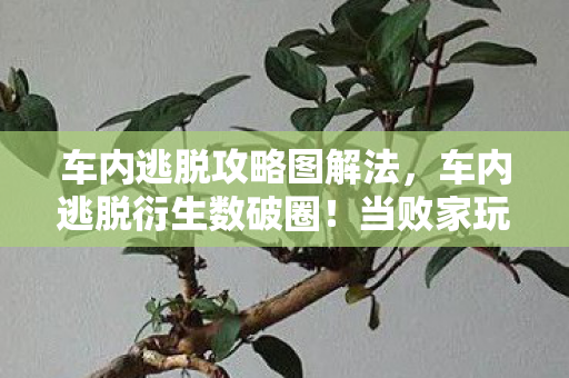 车内逃脱攻略图解法,车内逃脱衍生数破圈!当败家玩家用周边堆出意想不到人生 车内逃脱攻略图解法,车内逃脱衍生数破圈!当败家玩家用周边堆出意想不到人生