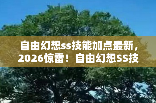自由幻想ss技能加点最新,2026惊雷!自由幻想SS技能加点背后,竟藏着鼻子一酸的旧情伏笔 自由幻想ss技能加点最新,2026惊雷!自由幻想SS技能加点背后,竟藏着鼻子一酸的旧情伏笔