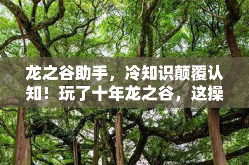 龙之谷助手，冷知识颠覆认知！玩了十年龙之谷，这操作让我目瞪口呆！