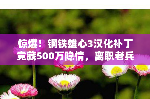 惊爆！钢铁雄心3汉化补丁竟藏500万隐情，离职老兵掀桌抖内幕！