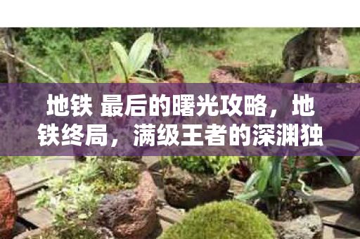 地铁 最后的曙光攻略,地铁终局,满级王者的深渊独行,在虚拟神坛与现实荒漠间灵魂震颤 地铁 最后的曙光攻略,地铁终局,满级王者的深渊独行,在虚拟神坛与现实荒漠间灵魂震颤